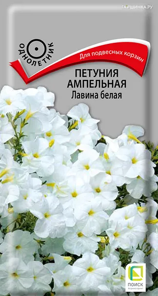 Петуния ампельная Лавина белая 10, Поиск