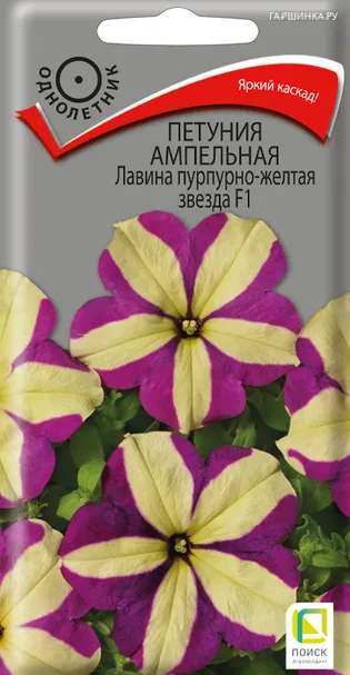 Петуния ампельная Лавина Пурпурно-желтая Звезда F1 10, Поиск