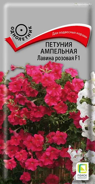 Петуния ампельная Лавина розовая F1 10, Поиск