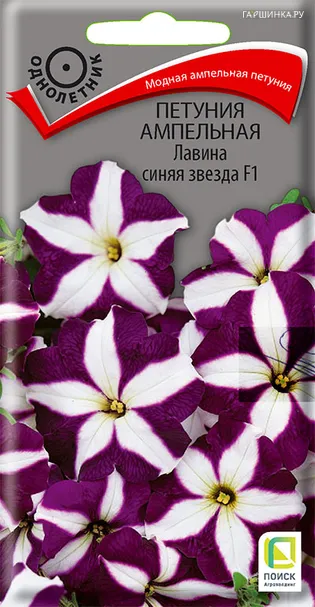 Петуния ампельная Лавина синяя звезда F1 10, Поиск