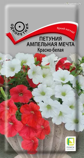 Петуния ампельная Мечта Красно-белая 5, Поиск