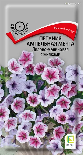 Петуния ампельная Мечта Лилово-малиновая с жилками 5, Поиск