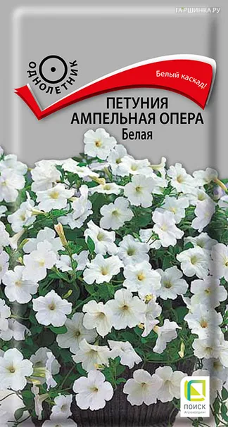 Петуния ампельная Опера Белая 5, Поиск