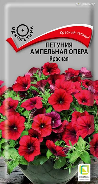 Петуния ампельная Опера Красная 5, Поиск