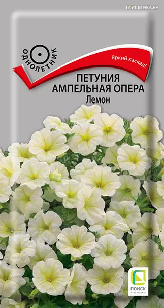 Петуния ампельная Опера Лемон 5, Поиск