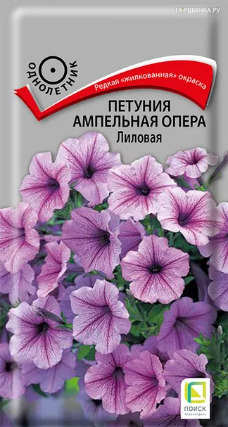 Петуния ампельная Опера Лиловая 5, Поиск