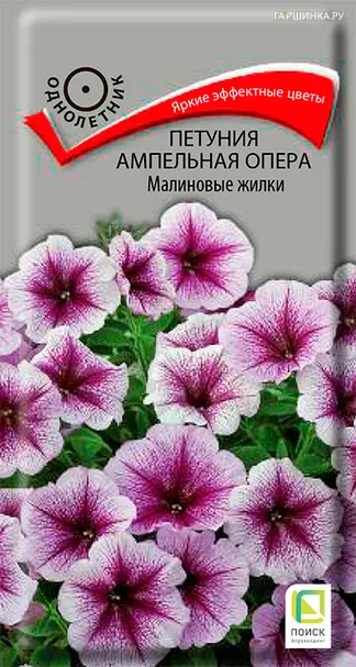 Петуния ампельная Опера Малиновые жилки 5, Поиск