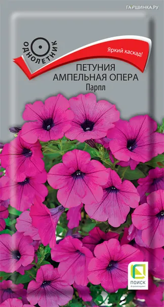 Петуния ампельная Опера Парпл 5, Поиск