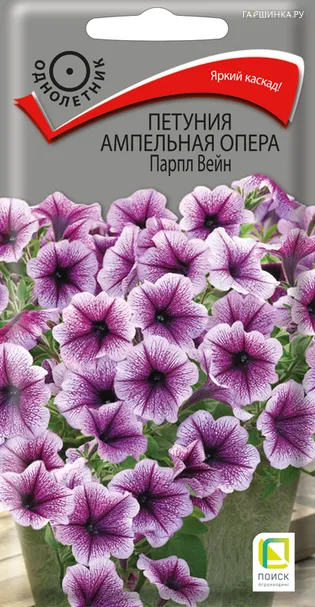 Петуния ампельная Опера Парпл Вейн 5, Поиск