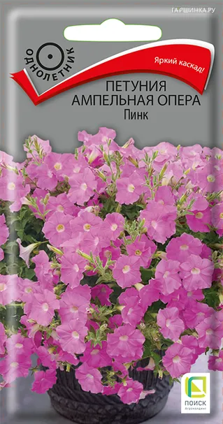 Петуния ампельная Опера Пинк 5, Поиск