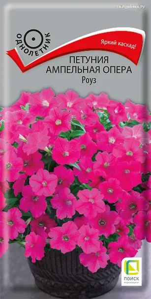 Петуния ампельная Опера Роуз 5, Поиск