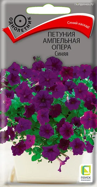 Петуния ампельная Опера Синяя 5, Поиск