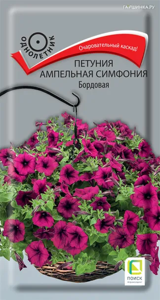 Петуния Симфония Бордовая ампельная 0,01 г, Семена Поиск