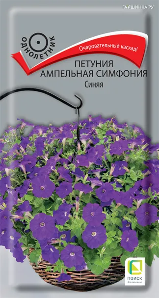 Петуния Симфония Синяя ампельная 0,01 г, Семена Поиск