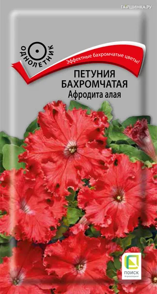 Петуния бахромчатая Афродита алая 10, Поиск