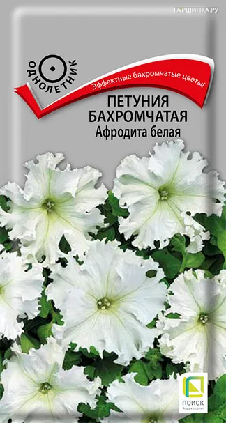 Петуния бахромчатая Афродита белая 10, Поиск