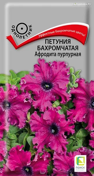 Петуния Афродита пурпурная бахромчатая 10, Семена Поиск