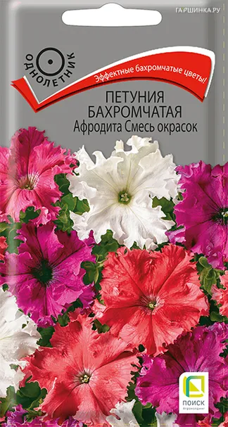 Петуния бахромчатая Афродита Смесь окрасок 10, Поиск