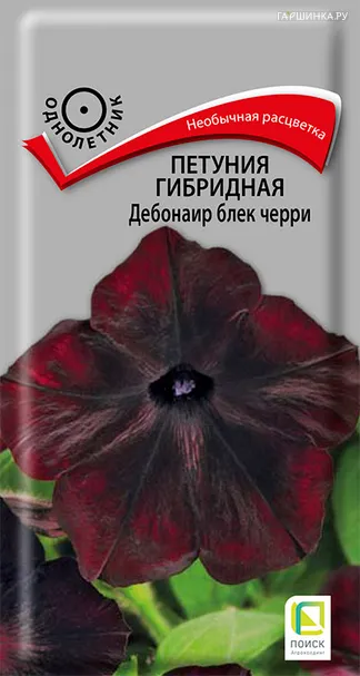 Петуния гибридная Дебонаир блек черри 5, Поиск