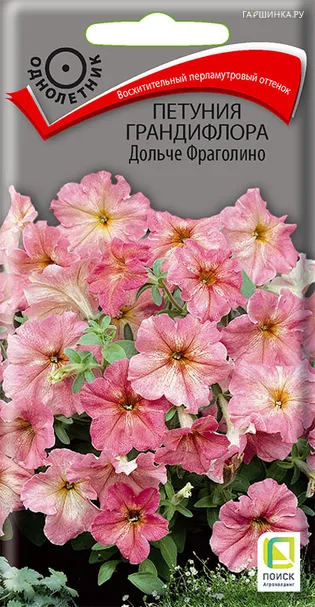 Петуния грандифлора Дольче Фраголино 10, Поиск