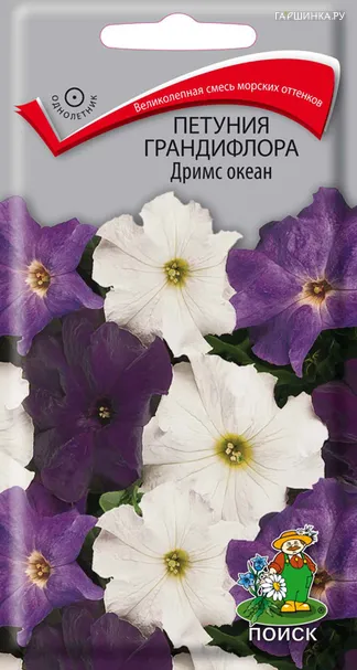 Петуния грандифлора Дримс океан 20, Поиск