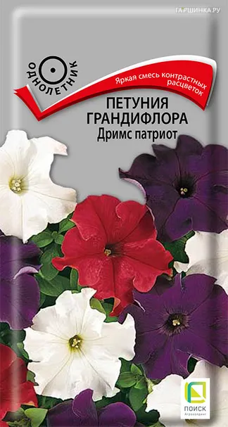 Петуния грандифлора Дримс патриот 20, Поиск