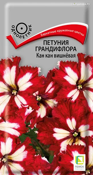 Петуния грандифлора Кан кан вишневая 10, Поиск