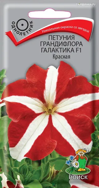 Петуния грандифлора Галактика F1 Красная 10, Поиск