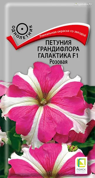 Петуния грандифлора Галактика F1 Розовая 10, Поиск