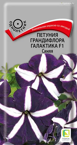 Петуния грандифлора Галактика F1 Синяя 10, Поиск