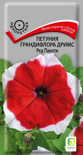 Петуния грандифлора Дримс Ред Пикоти 15, Поиск