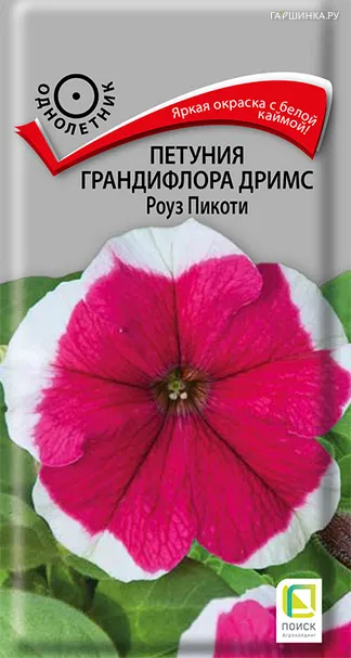 Петуния грандифлора Дримс Роуз Пикоти 15, Поиск
