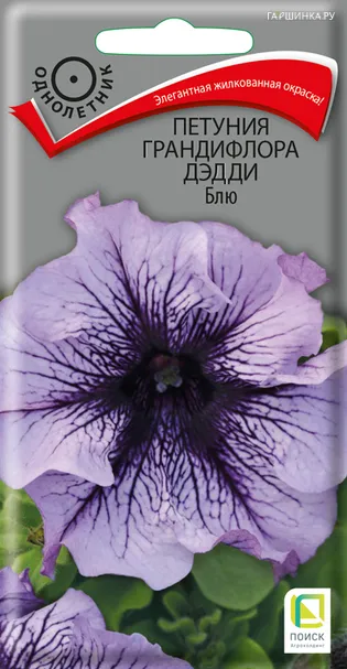 Петуния грандифлора Дэдди Блю 10, Поиск