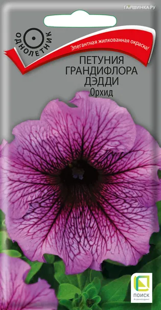 Петуния грандифлора Дэдди Орхид 10, Поиск
