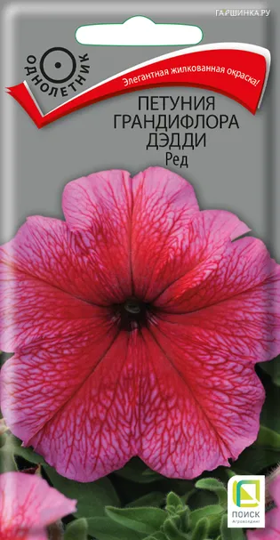 Петуния грандифлора Дэдди Ред 10, Поиск