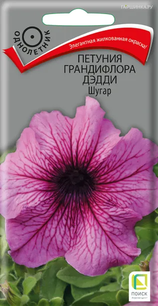 Петуния грандифлора Дэдди Шугар 10, Поиск