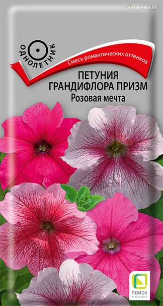 Петуния грандифлора призм Розовая мечта 10, Поиск