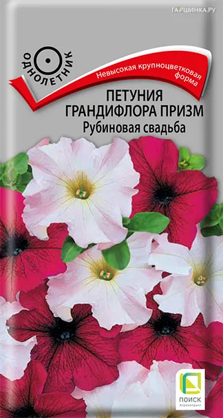 Петуния грандифлора призм Рубиновая свадьба 20, Поиск