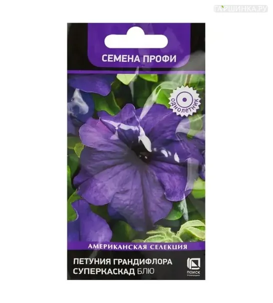 Петуния грандифлора Суперкаскад Блю 10, Поиск