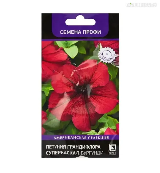 Петуния грандифлора Суперкаскад Бургунди 10, Поиск