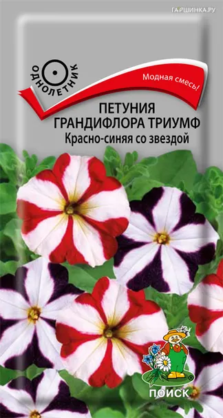 Петуния грандифлора Триумф Красно-синяя со звездой 15, Поиск
