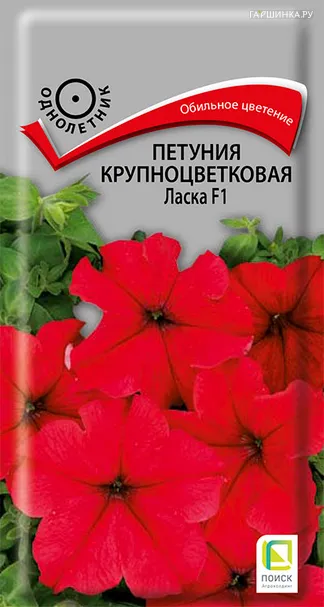 Петуния крупноцветковая Ласка F1 20, Поиск