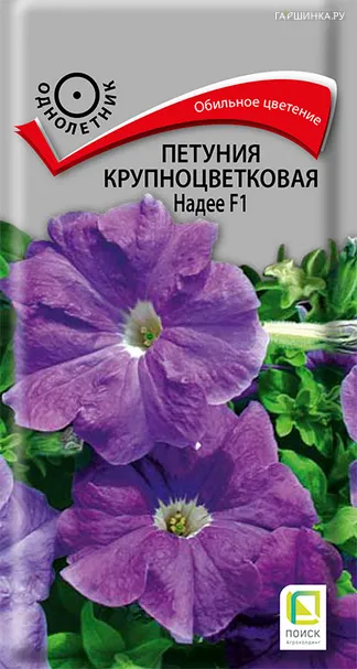 Петуния Надее F1 крупноцветковая  20, Семена Поиск