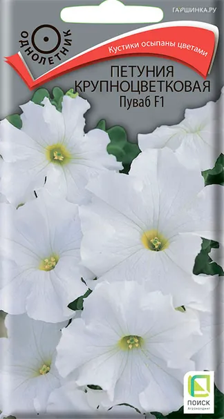 Петуния крупноцветковая Пуваб F1 20, Поиск