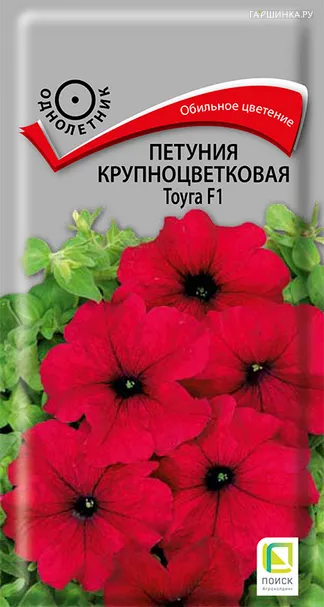 Петуния крупноцветковая Тоуга F1 20, Поиск