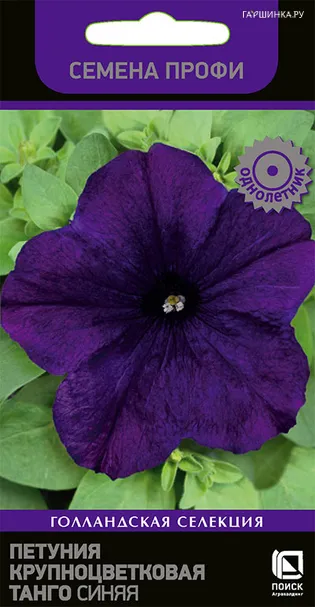 Петуния крупноцветковая Танго Синяя 15, Поиск