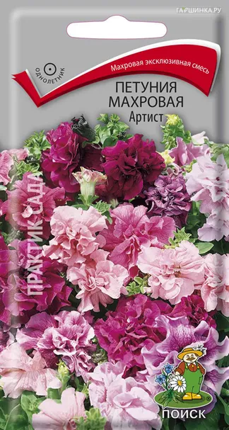 Петуния махровая Артист 5, Поиск