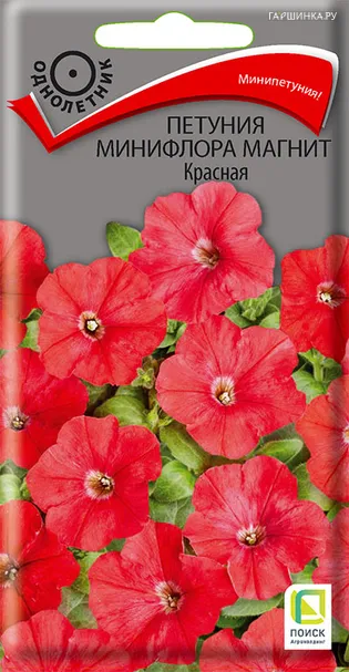 Петуния минифлора Магнит Красная 10, Поиск