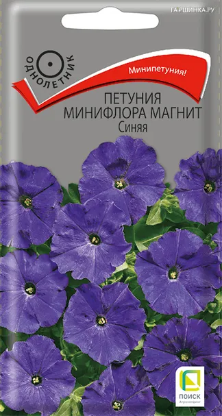Петуния Магнит Синяя минифлора 10, Семена Поиск