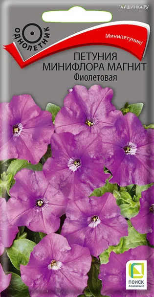Петуния минифлора Магнит Фиолетовая 10, Поиск